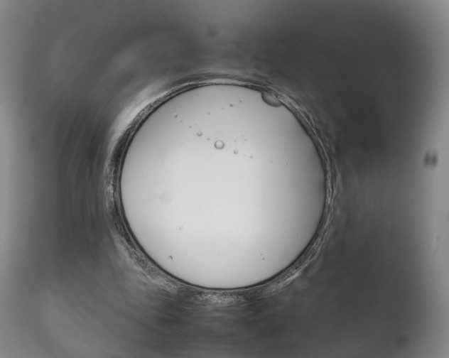 X0000111230343200907021029