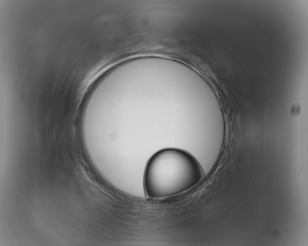 X0000111230344200907021029