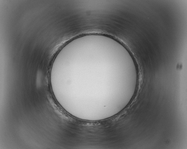 X0000111230345200907021029