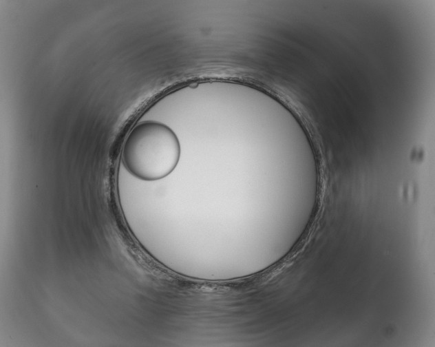 X0000111230346200907021029