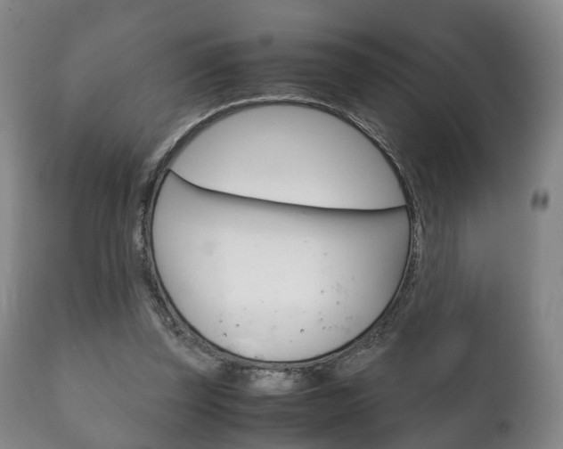 X0000111230347200907021029