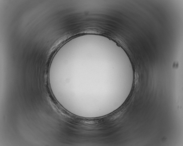 X0000111230349200907021029