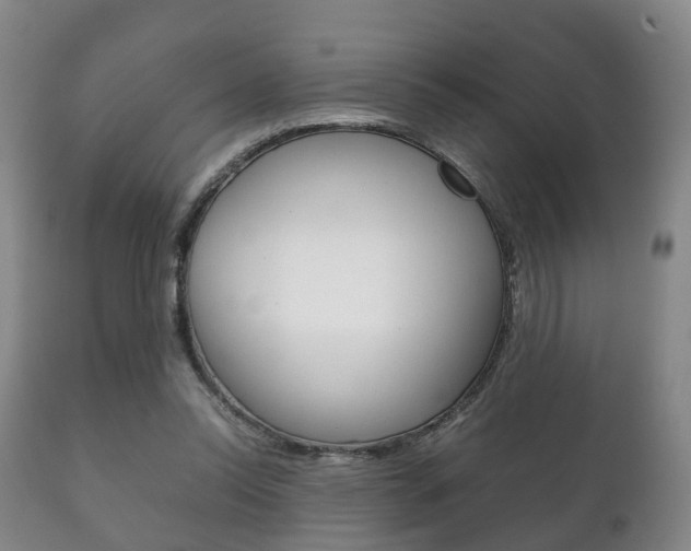 X0000111230350200907021029