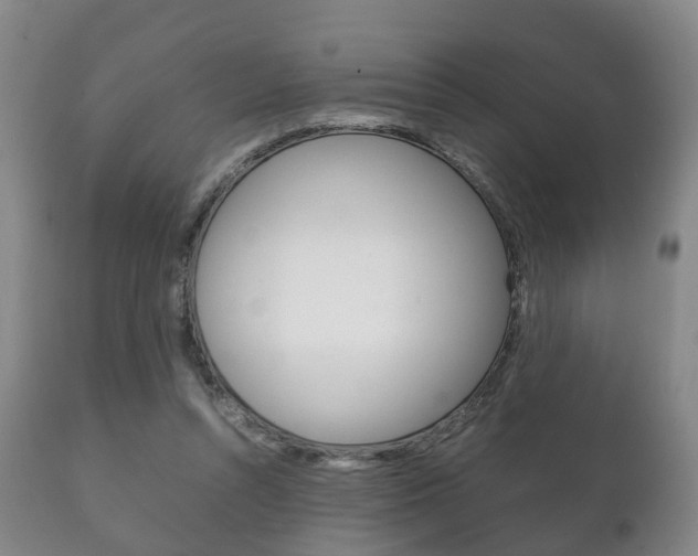 X0000111230352200907021029
