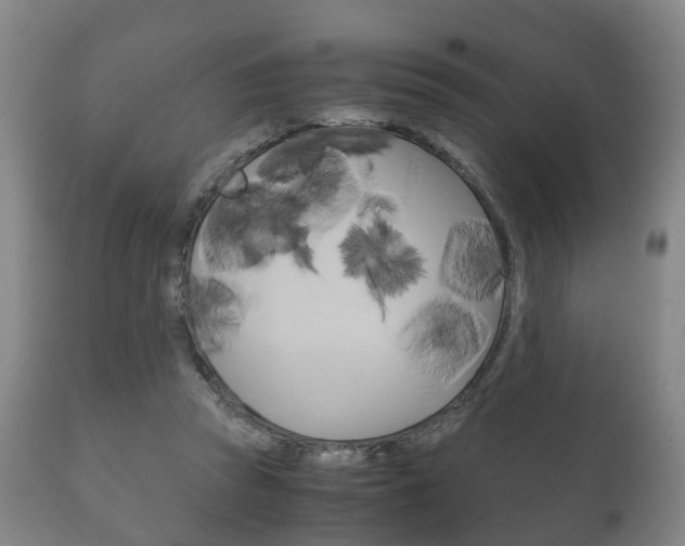 X0000111230353200907021029