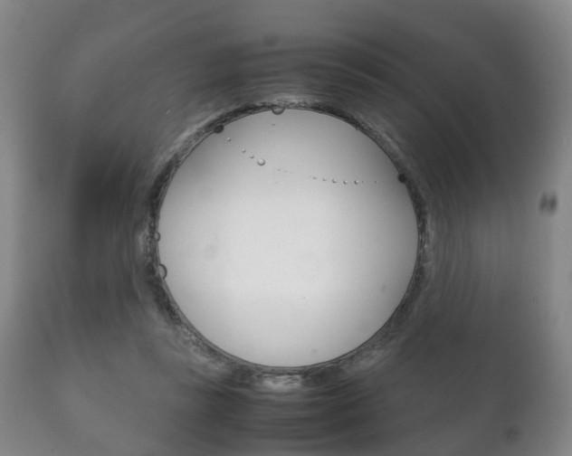 X0000111230355200907021029