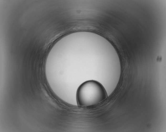 X0000111230356200907021029