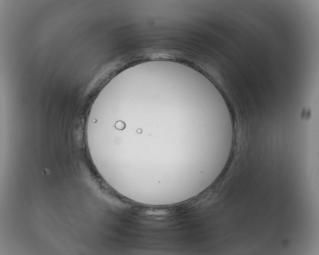 X0000111230357200907021029