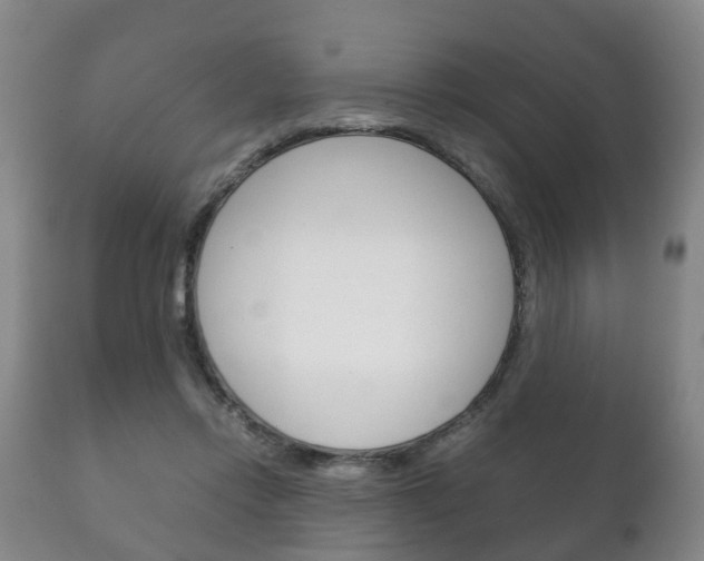 X0000111230358200907021029