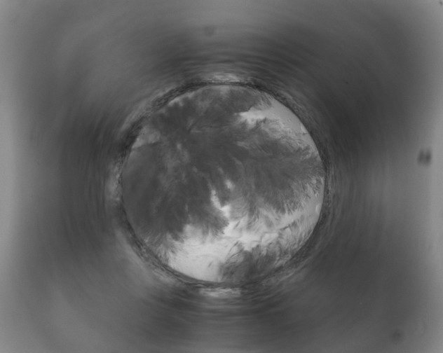 X0000111230359200907021029