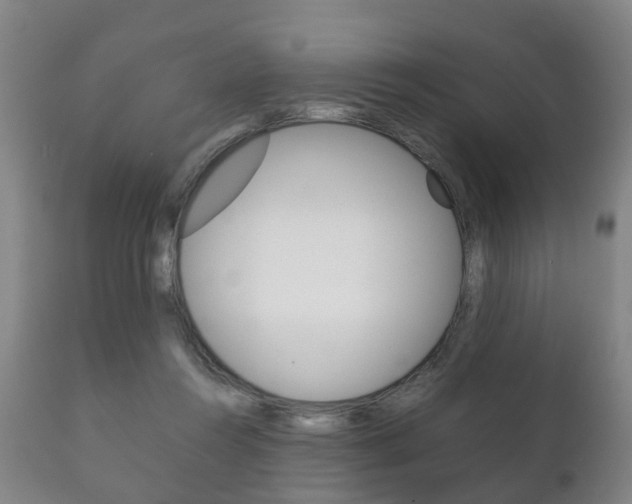 X0000111230360200907021029