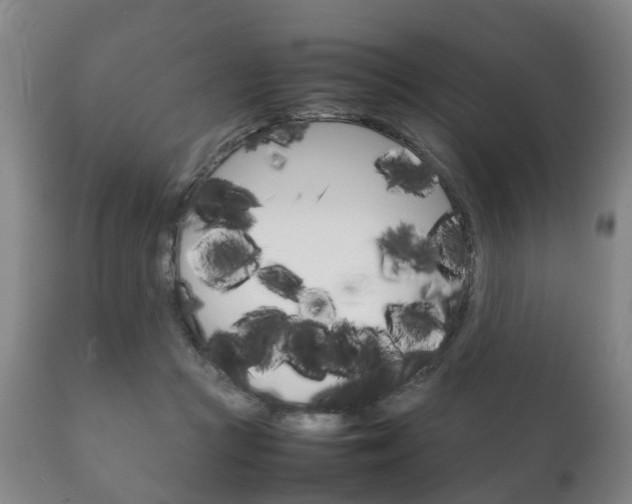 X0000111230361200907021029