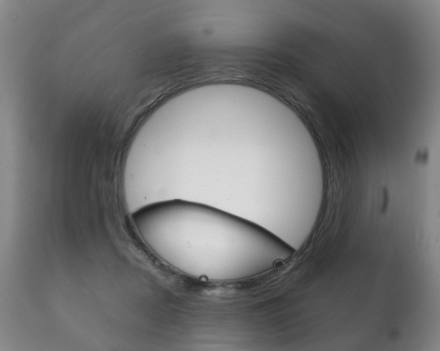 X0000111230362200907021029