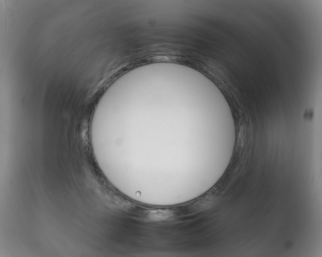 X0000111230363200907021029