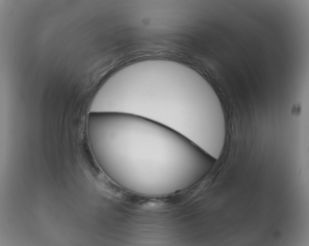 X0000111230364200907021030