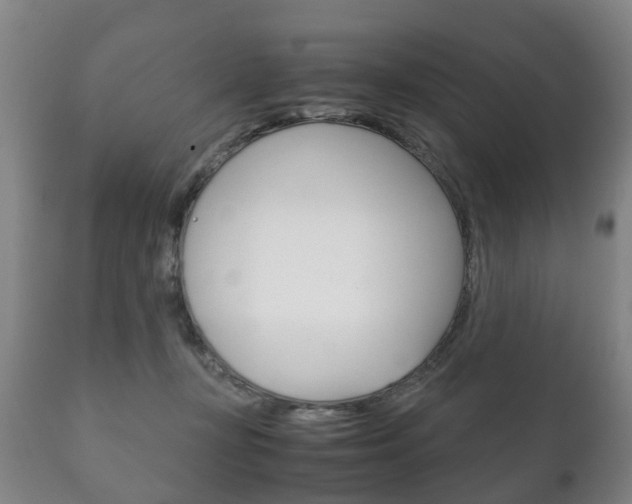 X0000111230367200907021030