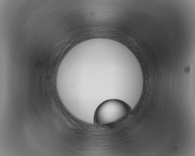 X0000111230368200907021030