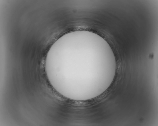 X0000111230369200907021030