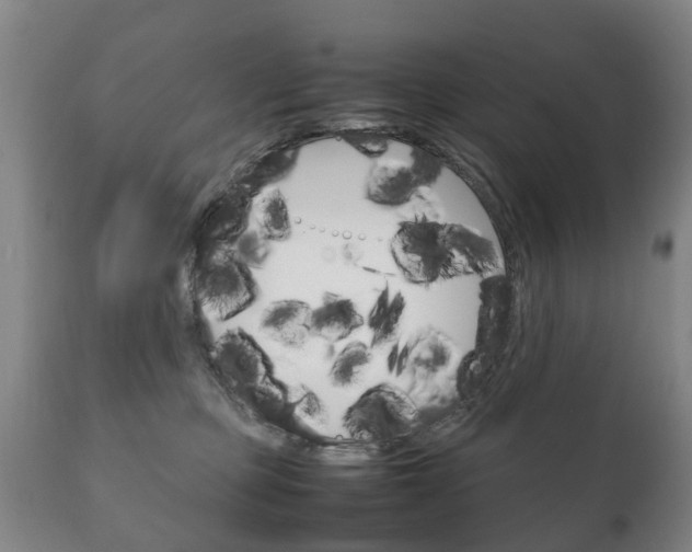 X0000111230373200907021030