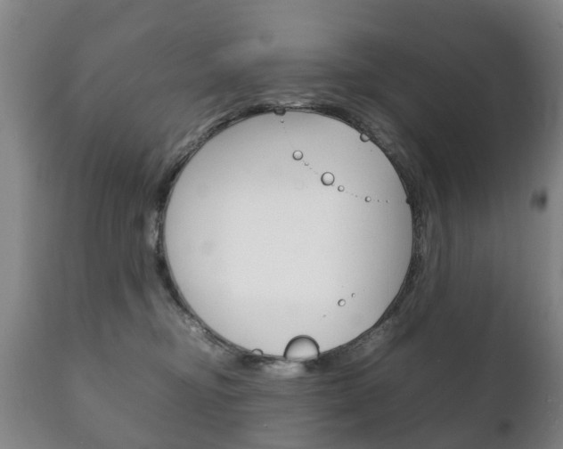 X0000111230374200907021030