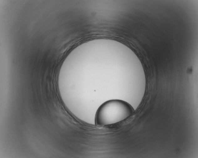 X0000111230376200907021030