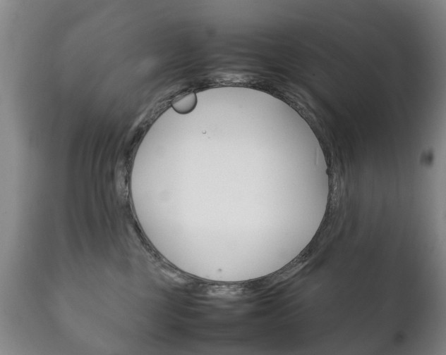 X0000111230377200907021030