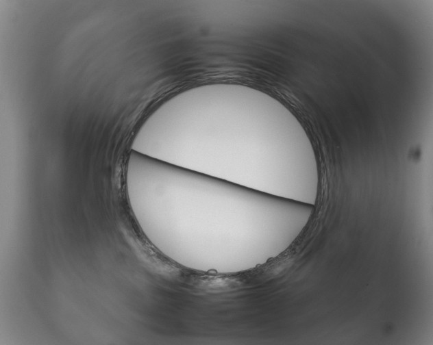 X0000111230379200907021030