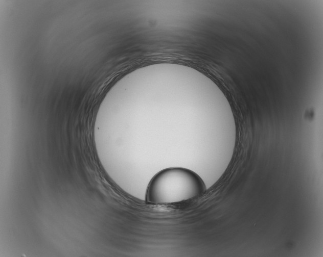 X0000111230380200907021030