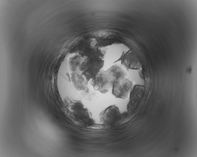 X0000111230381200907021030