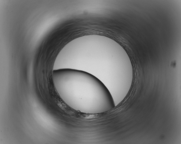 X0000111230382200907021030