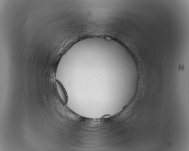 X0000111230384200907021030