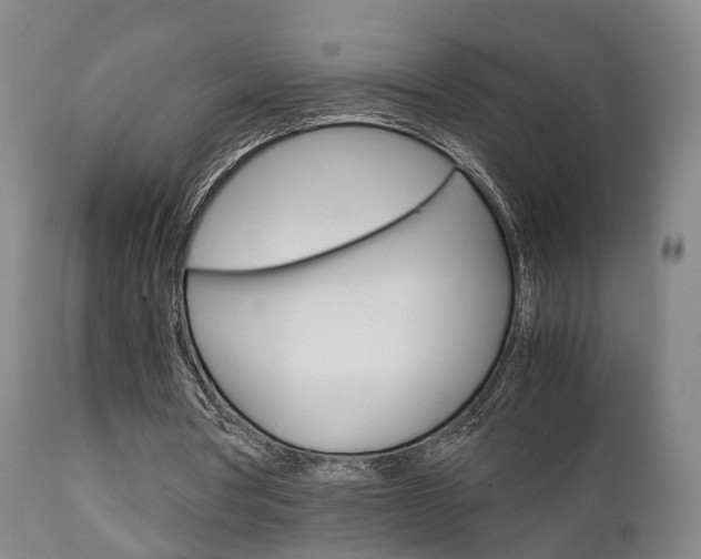 X0000111230386200907021029