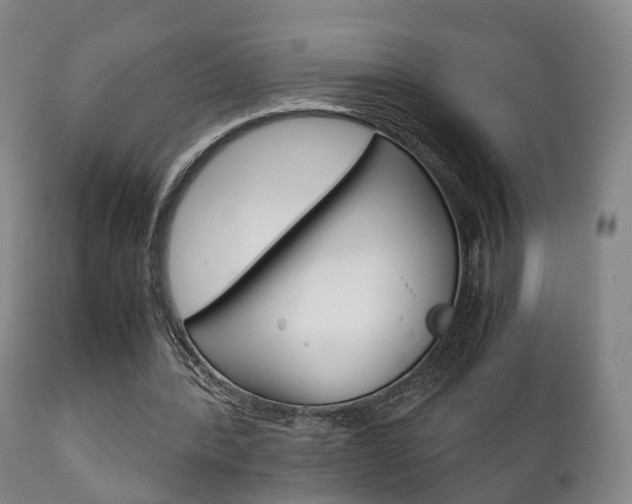 X0000111230388200907021029