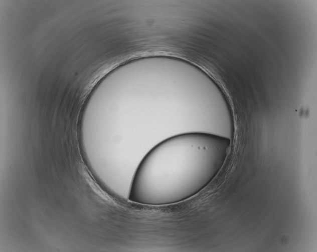 X0000111230389200907021029