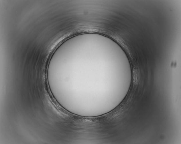 X0000111230390200907021029