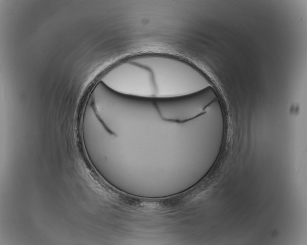 X0000111230391200907021029