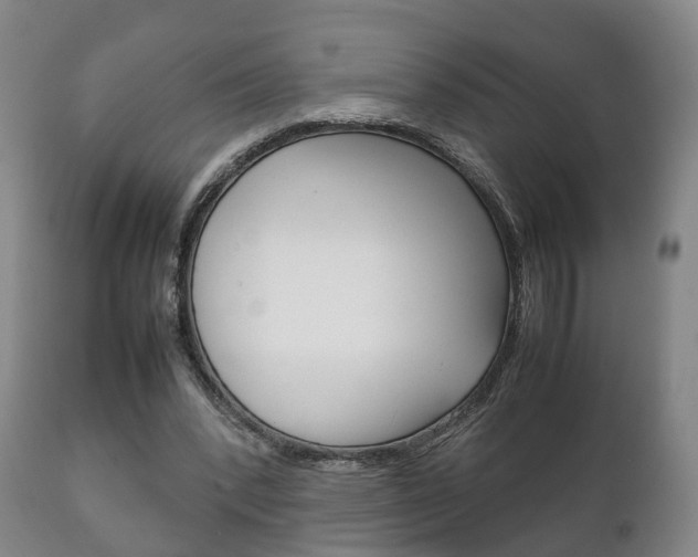 X0000111230392200907021029