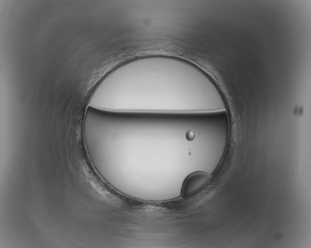 X0000111230393200907021029