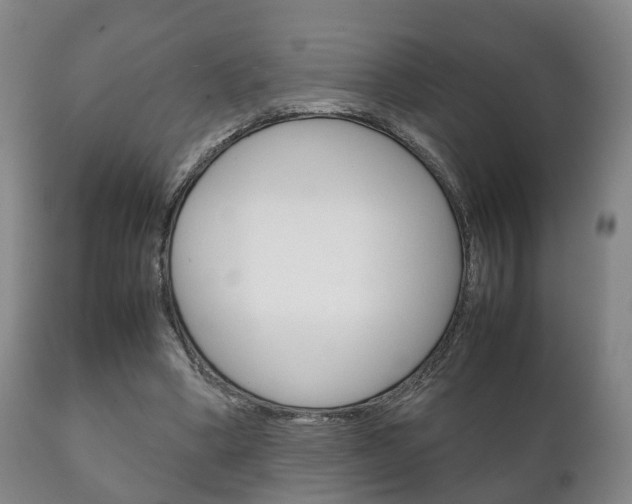 X0000111230394200907021029