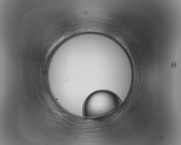 X0000111230395200907021029