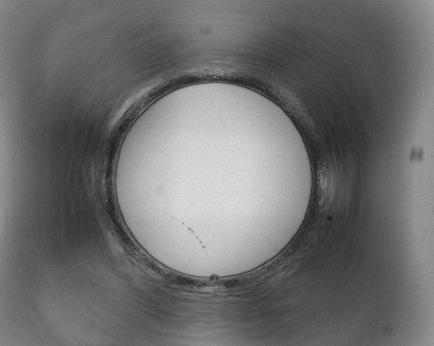 X0000111230396200907021029