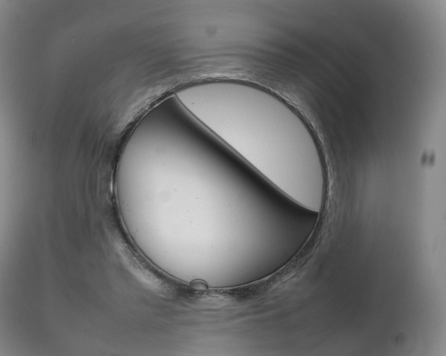 X0000111230397200907021029