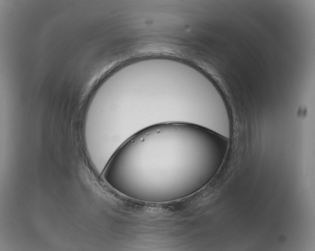 X0000111230399200907021029