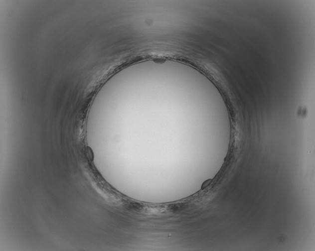 X0000111230401200907021029