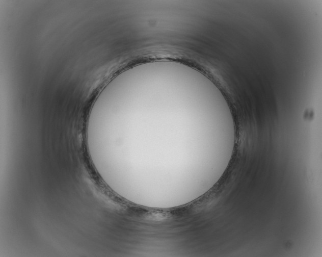 X0000111230402200907021029