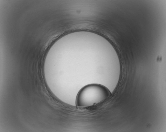 X0000111230403200907021029