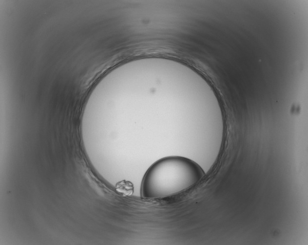 X0000111230405200907021029