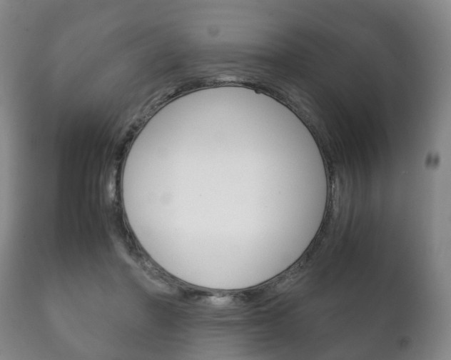 X0000111230406200907021029