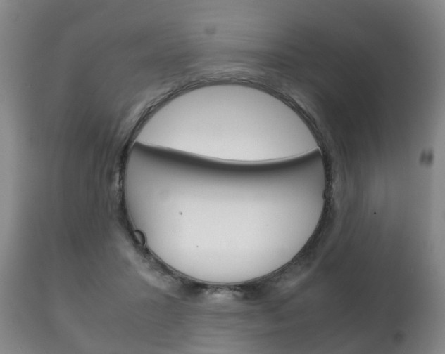 X0000111230407200907021029