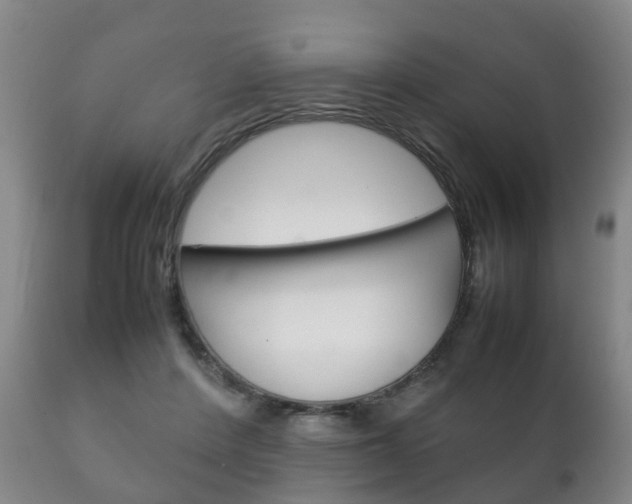 X0000111230408200907021029